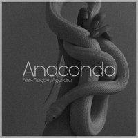 Alex Rogov, Aguilaru - Anaconda слушать песню