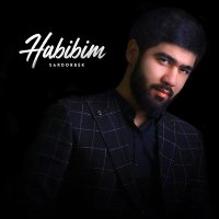 Sardorbek - Habibim слушать песню