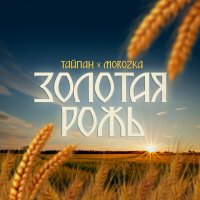 Тайпан, MorozKA - Золотая рожь слушать песню