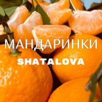 Shatalova - Мандаринки слушать песню