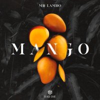 Mr Lambo - Mango (Dj Link Extended Edit) слушать песню