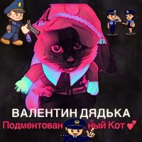 Валентин Дядька - Подментованный кот слушать песню