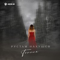 Рустам Нахушев - Тополя слушать песню