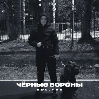 NEKLYUD - Чёрные вороны слушать песню