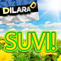 Dilara D - Suvi! слушать песню