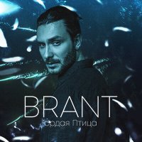 Brant - Гордая птица слушать песню