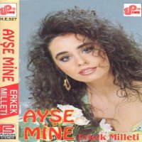 Ayşe Mine - Erkek Milleti слушать песню