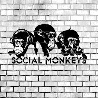 Social Monkeys - Безумие слушать песню