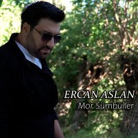 Ercan Aslan - Mor Sümbüller слушать песню