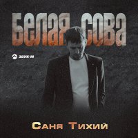 Саня Тихий - Белая сова слушать песню