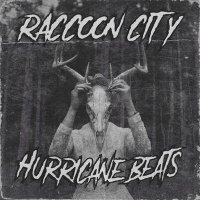 Hurricane Beats - Raccoon City слушать песню