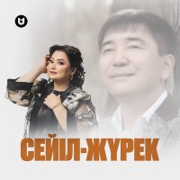 Роза Әлқожа - Сейіл-жүрек слушать песню