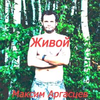 Максим Аргасцев - Я так люблю тебя слушать песню