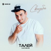 Талей Насибов - Свадьба слушать песню