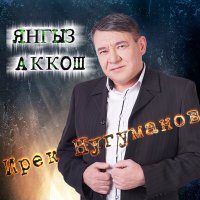 Ирек Нугуманов - Янгыз Аккош (DBG Project Remix) слушать песню