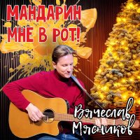 Вячеслав Мясников - Мандарин мне в рот! слушать песню