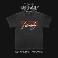 Тимур Timbigfamily - Молодой Агутин слушать песню