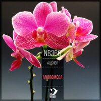 Alisher - Andromeda (Original Mix) слушать песню