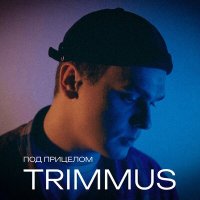 Trimmus - Под прицелом слушать песню