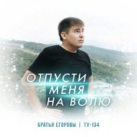 Братья Егоровы - Отпусти меня на волю слушать песню