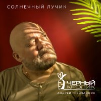 Чёрный кролик, Андрей Грейчайник - Солнечный лучик слушать песню