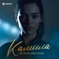 Ислам Айдаров - Камила слушать песню