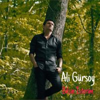 ALİ GÜRSOY - BİLSİN İSTERİM слушать песню