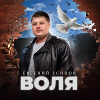 Евгений Есипов - Воля слушать песню