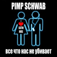 Pimp Schwab - Всё. что нас не убивает (Extended Club Mix) слушать песню