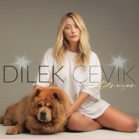 Dilek Çevik - Olmuyor (Akustik) слушать песню