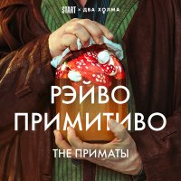 THE ПРИМАТЫ - РЭЙВО ПРИМИТИВО (из сериала «Два холма») слушать песню