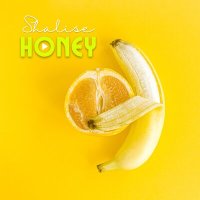 Shalise - Honey слушать песню