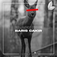 Barış Çakır - Black Roe слушать песню