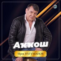 Ирек Нугуманов - Аҡҡош (2023) слушать песню