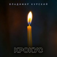 Владимир Курский - Крокус слушать песню