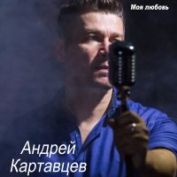 Андрей Картавцев - Белые берёзы (Dj Ikonnikov E.x.c Version) слушать песню