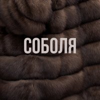 Сола Монова - Соболя слушать песню