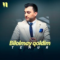 Temur - Bilolmay qoldim слушать песню