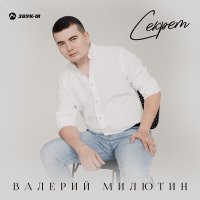 Валерий Милютин - Секрет слушать песню