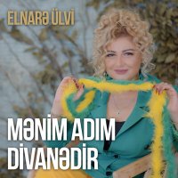 Elnarə Ülvi - Mənim Adım Divanədir слушать песню