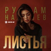 Рустам Нахушев - Листья слушать песню