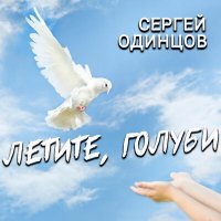 Сергей Одинцов - Летите, голуби слушать песню