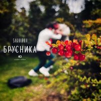 Sakharov - Брусника слушать песню