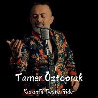 Tamer Öztoprak - Karanfil Deste Gider слушать песню