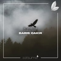 Barış Çakır - Low слушать песню