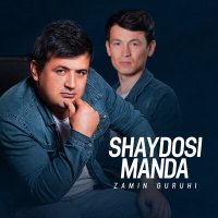 Zamin guruhi - Shaydosi manda слушать песню