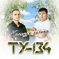 ТУ-134 - Родительский дом слушать песню