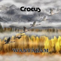 WANTARAM - Crocus слушать песню