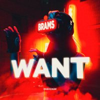 Brams - Want слушать песню