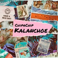 ChipaChip - Kalanchoe слушать песню